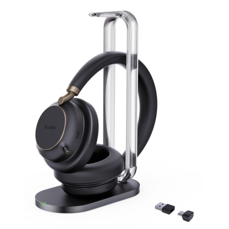 BH76 Plus - Headset - on-ear