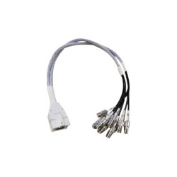 Cisco - Cable para antena - RP-TNC a conector RF DART - 61 c | APLIUM