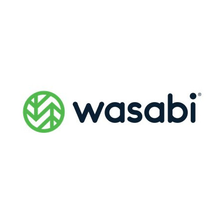Wasabi Cloud NAS - Licencia de suscripción (4 años) - 950 TB capacity