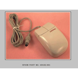 Two Button Mouse