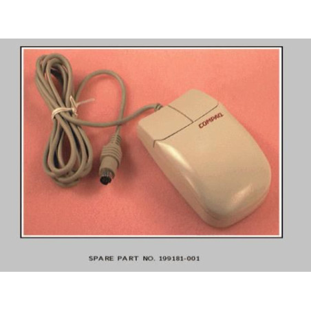 Two Button Mouse