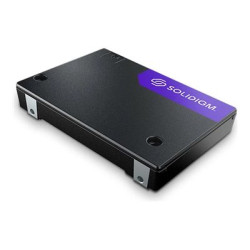Solidigm D7-PS1010 Series - SSD - Enterprise - 15.36 TB - in | APLIUM