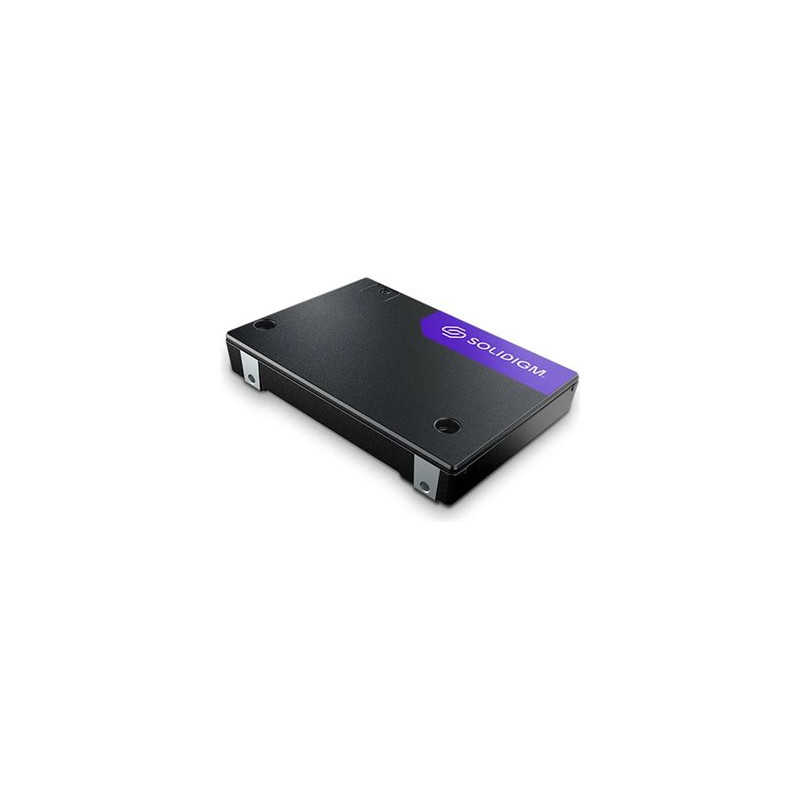 Solidigm D7-PS1010 Series - SSD - Enterprise - 15.36 TB - in | APLIUM