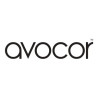 Avocor X-series 132" dvLED display+case