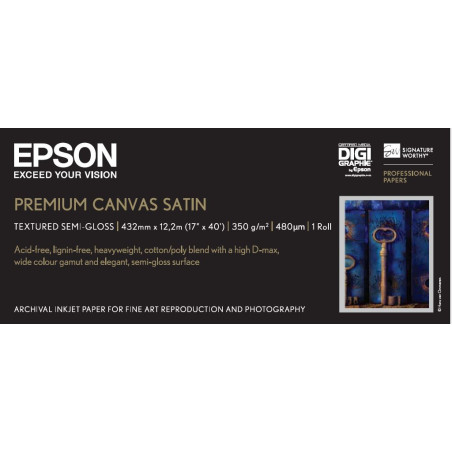 Paper/Prem Canvas Satin 17"x12.2m 350gm2