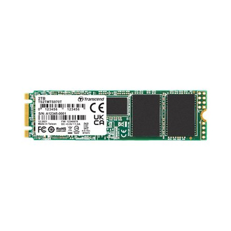 256GB M.2 2280 MTS970T | APLIUM