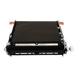 Intermediate Transfer Belt