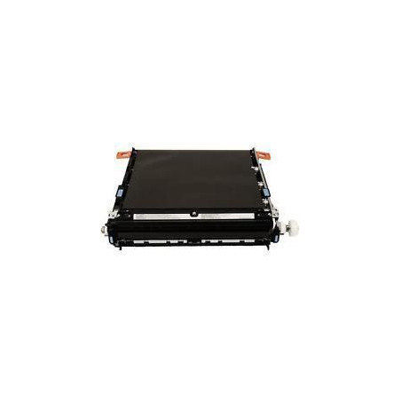 Intermediate Transfer Belt