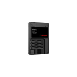 SanDisk SN861 - SSD - Enterprise - cifrado - 3.84 TB - inter | APLIUM
