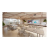 Cisco Ceiling Microphone Pro - Micrófono - RJ-45 - negro car | APLIUM
