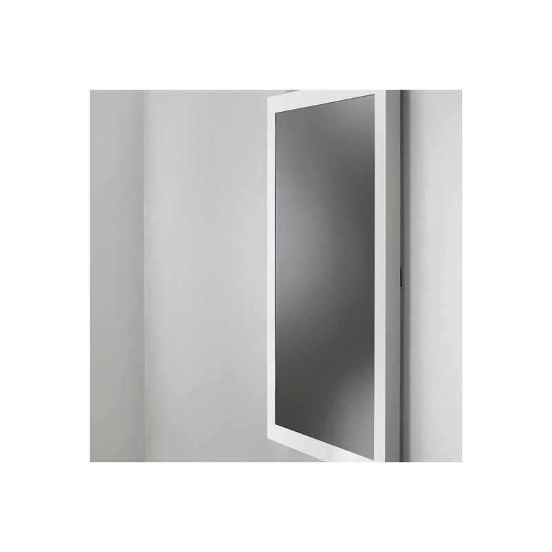 Protective Glass Wall Kiosk 43" Class | APLIUM