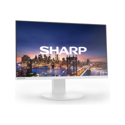 MODEL DD-EA241FW, White, 24" LCD monitor, FHD(1920x1080), DP, HDMI, DV