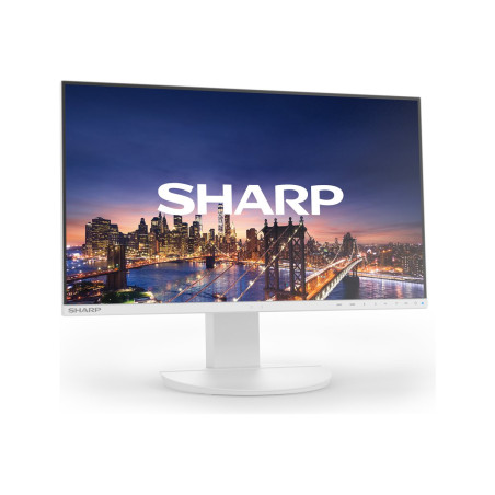 MODEL DD-EA241FW, White, 24" LCD monitor, FHD(1920x1080), DP, HDMI, DV