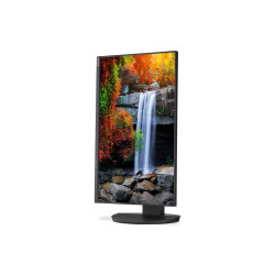 MODEL DD-EA242F, Black, 24" LCD monitor, FHD (1920x1080) DP, HDMI, DP-