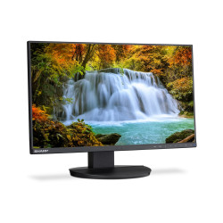MODEL DD-EA242F, Black, 24" LCD monitor, FHD (1920x1080) DP, HDMI, DP-