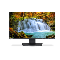 MODEL DD-EA242F, Black, 24" LCD monitor, FHD (1920x1080) DP, HDMI, DP-