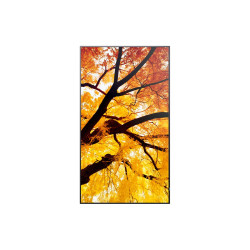 MODEL PN-502, 50" M-Series Large Format Display, UHD, 550cd/m2, D-LED