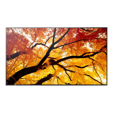 MODEL PN-M652, 65" M-Series Large Format Display, UHD, 550cd/m2, D-LED