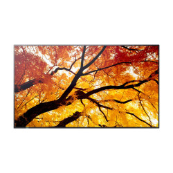 MODEL PN-M862, 86" M-Series Large Format Display, UHD, 550cd/m2, D-LED