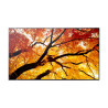 MODEL PN-M862, 86" M-Series Large Format Display, UHD, 550cd/m2, D-LED