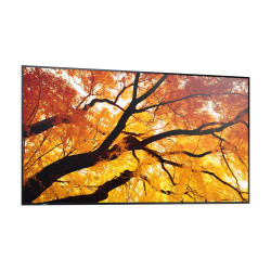 MODEL PN-M862, 86" M-Series Large Format Display, UHD, 550cd/m2, D-LED