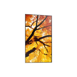 MODEL PN-M862, 86" M-Series Large Format Display, UHD, 550cd/m2, D-LED
