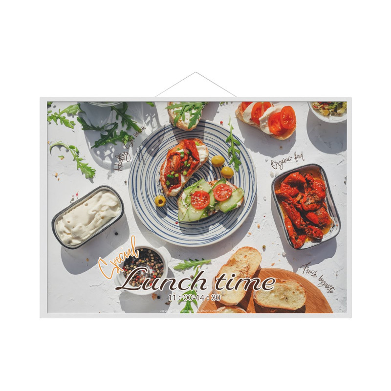 MODEL EP-CA22, A2 ePaper Display, full color | APLIUM