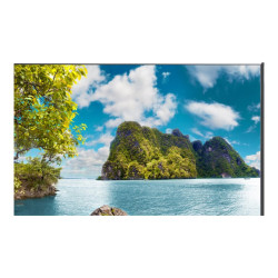 MODEL PN-UN553S, 55" UN-Series large format display for videowalls, FH
