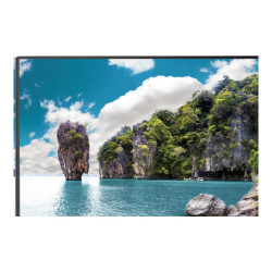 MODEL PN-UN553V, 55" UN-Series large format display for videowalls, FH