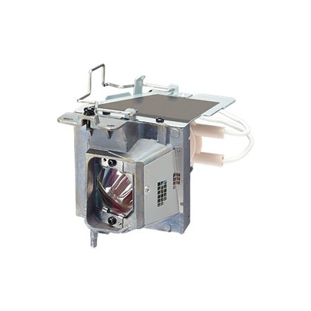 NP40LP Lamp for VE303 VE303X