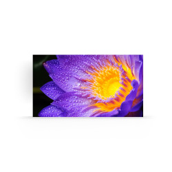 MODEL LD-EC091-162, Indoor LED 0.9 mm EC Series 162" UHD Bundle, inclu