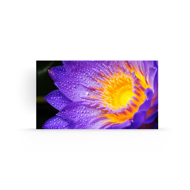 MODEL LD-EC121-217, Indoor LED 1.2 mm EC Series 217" UHD Bundle, inclu