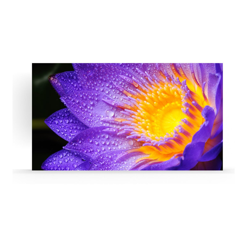 Model LD-EC181-H-162-NP Indoor LED 1,8 mm EC Series 162" Bundle , incl