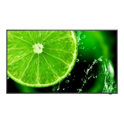 55" E Series large format display, UHD, 400cd/m2, Direct LED backlight