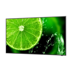 55" E Series large format display, UHD, 400cd/m2, Direct LED backlight