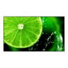 75" E Series large format display, UHD, 400cd/m2, Direct LED backlight