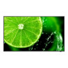 32" E Series large format display, FHD, 400cd/m2, Direct LED backlight