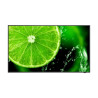 43" E Series large format display, UHD, 400cd/m2, Direct LED | APLIUM