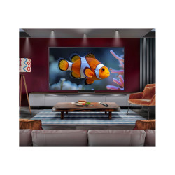 TV LG 75" QNED87 MiniLed | APLIUM