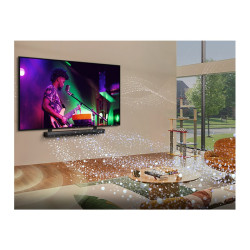 TV LG 65" QNED81 MiniLed | APLIUM