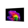 Tv Lg 77" OLED G6