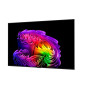 Tv Lg 65" OLED G6