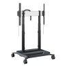RISE 5308 MOTORIZED DISPLAY