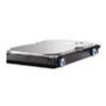SPS-DRV HD 3TB 3.5 7.2K 3G