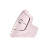 LIFT - ROSE/DARK ROSE - EMEA