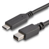Cable USB C to Mini DisplayPort 6 ft