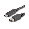 Cable USB C to Mini DisplayPort 6 ft
