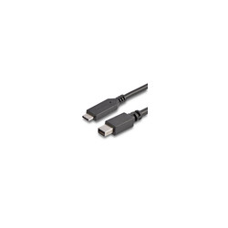 Cable USB C to Mini DisplayPort 6 ft