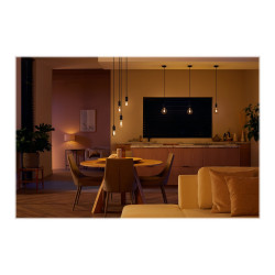 Philips Hue White ambiance - Bombilla con filamento LED - forma: G125