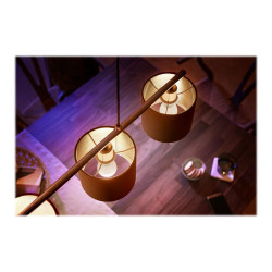 Philips Hue White - Bombilla LED - forma: P45 - E14 - 5.7 W (equivalen